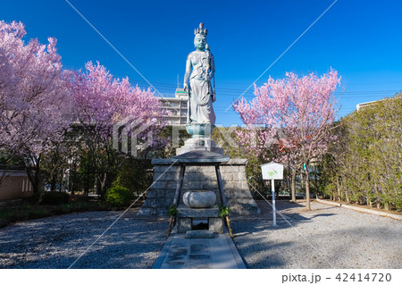 蕨市 三学院 平和観音 蕨市 三学院 平和観音 42414720