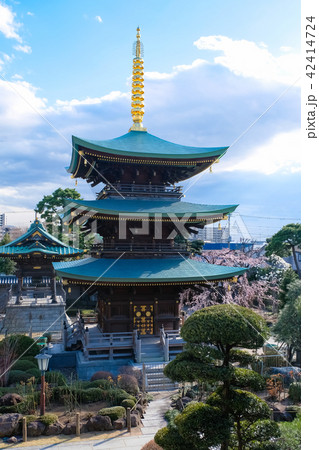 蕨市 三学院 三重塔 42414724