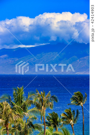 マウイ島の風景 42414903
