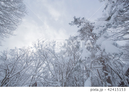 雪景色 雪景色 42415153
