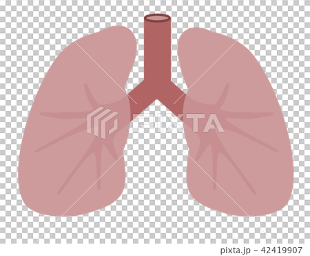 Lung Lung 42419907