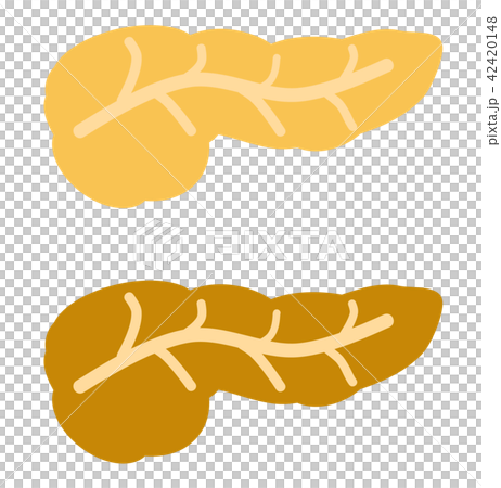 すい臓 すい臓 42420148