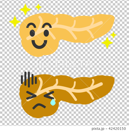 すい臓 すい臓 42420150