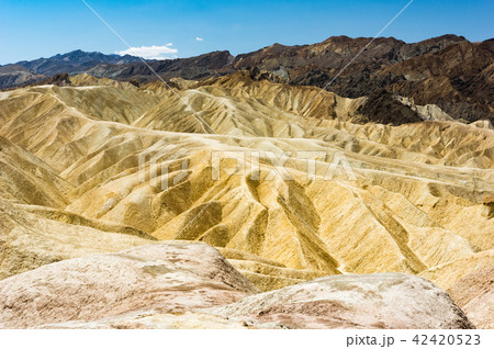 ザブリスキーポイント１ 42420523