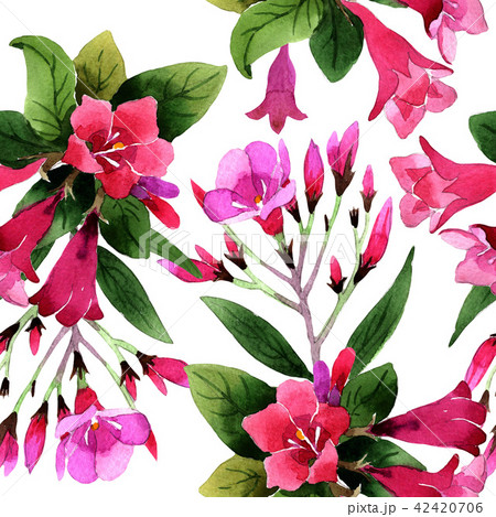 Watercolor pink weigela florida flowers. Floral botanical flower. Seamless background pattern. Watercolor pink weigela florida flowers. Floral botanical flower. Seamless background pattern. 42420706