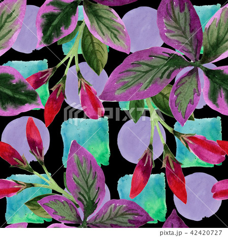 Watercolor pink weigela florida flowers. Floral botanical flower. Seamless background pattern. Watercolor pink weigela florida flowers. Floral botanical flower. Seamless background pattern. 42420727