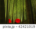 竹林のライトアップ（京都） 42421019