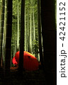 竹林ライトアップ（京都）３ 42421152