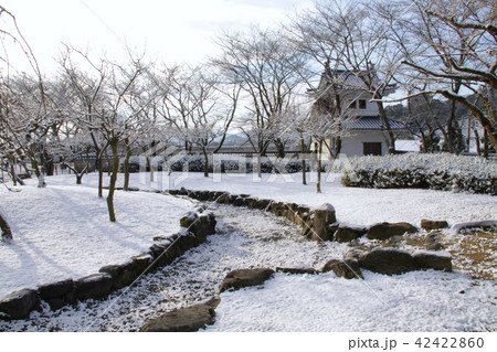 龍野城、本丸と隅櫓の雪景色/城下町の風景 42422860
