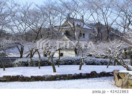 龍野城 本丸と隅櫓の雪景色 城下町の風景の写真素材