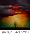 Bare dead tree in field in colorful night sky 42422987