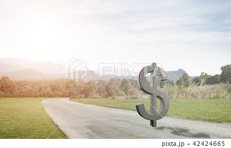 Money making and wealth concept presented by stone dollar symbol on asphalt road Money making and wealth concept presented by stone dollar symbol on asphalt road 42424665