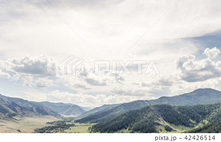 Summer colourful mountain landscape. Summer colourful mountain landscape. 42426514
