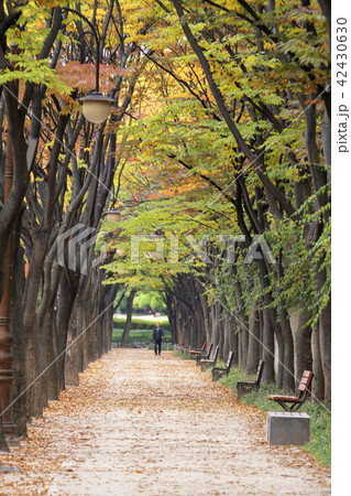 仁川 インチョン 屋外 42430630