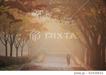 仁川 インチョン 仁川大公園 42430632