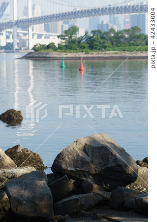 お台場海浜公園 お台場海浜公園 42433004