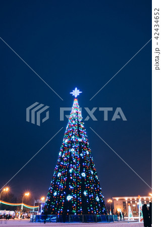 City tree in the square with illumination City tree in the square with illumination 42434652