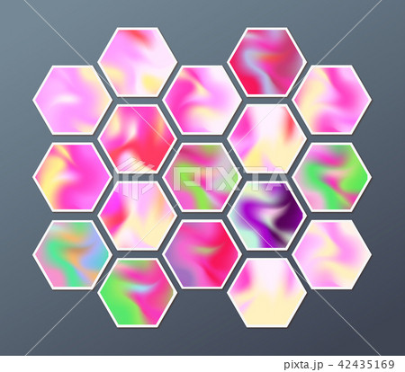Web Web 42435169