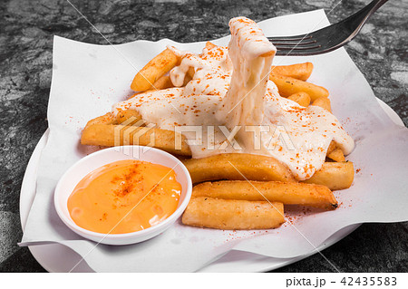 French fries on top with chesse served with sauce French fries on top with chesse served with sauce 42435583