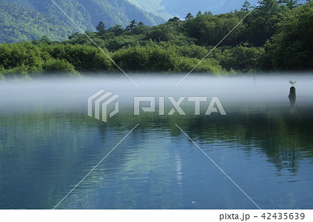 上高地の夏景色 上高地の夏景色 42435639