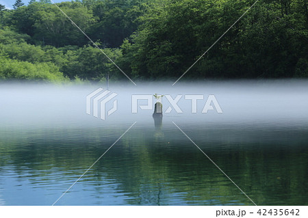上高地の夏景色 上高地の夏景色 42435642