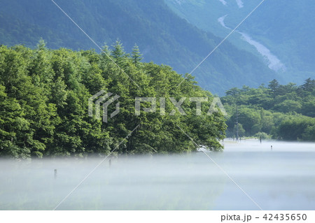 上高地の夏景色 上高地の夏景色 42435650