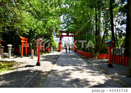 熊野三山 熊野速玉大社境内から新宮の街並 熊野三山 熊野速玉大社境内から新宮の街並 42435718