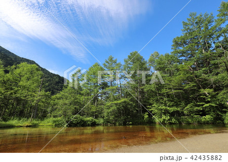 上高地の夏景色 上高地の夏景色 42435882