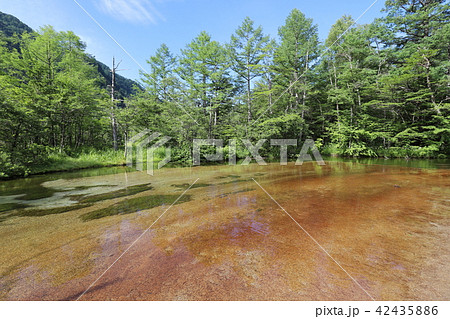 上高地の夏景色 上高地の夏景色 42435886