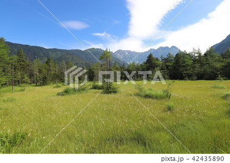 上高地の夏景色 上高地の夏景色 42435890