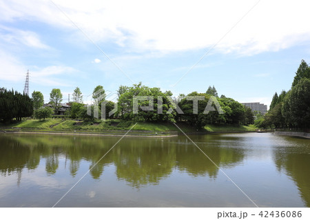 佐竹公園 42436086