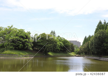 佐竹公園 42436087