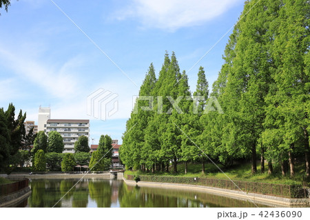 佐竹公園 42436090