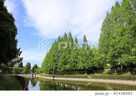 佐竹公園 42436092