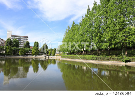 佐竹公園 42436094