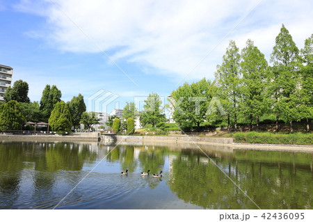 佐竹公園 42436095