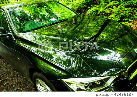 自動車 自動車 42436137