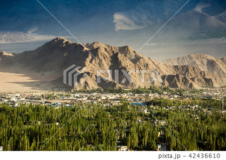 Leh town 42436610