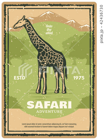 African Safari Retro Banner With Giraffe Animalのイラスト素材