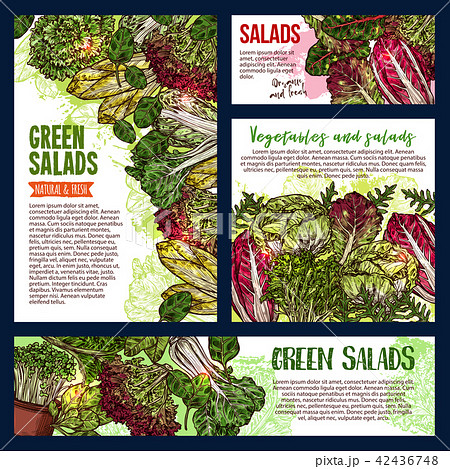Salad leaf and vegetable greens banners 42436748