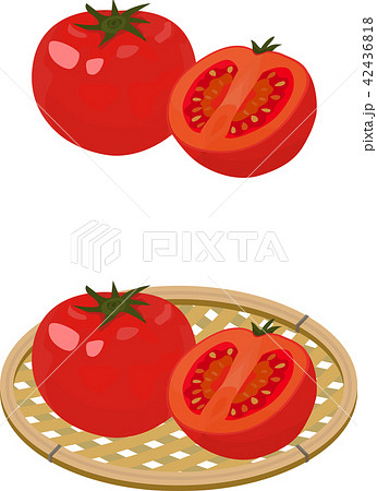 夏野菜 トマト かご盛りのイラスト素材