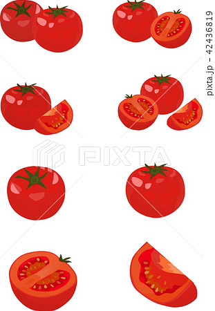 夏野菜 トマト のイラスト素材