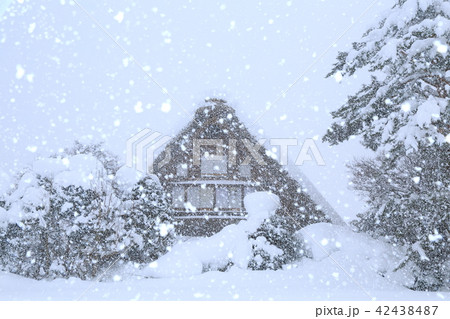 冬の白川郷　合掌造り　雪景色 42438487