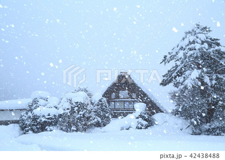 冬の白川郷　合掌造り　雪景色 42438488