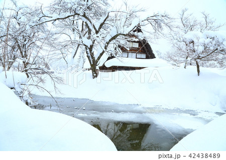 冬の白川郷　合掌造り　雪景色 42438489