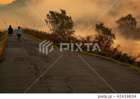早朝散歩　日の出と川霧の道 42438634