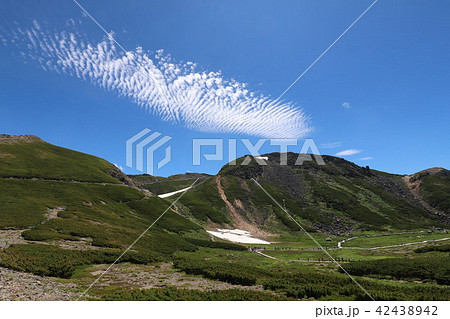 乗鞍岳　畳平の夏 42438942