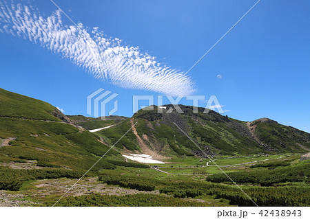 乗鞍岳　畳平の夏 42438943