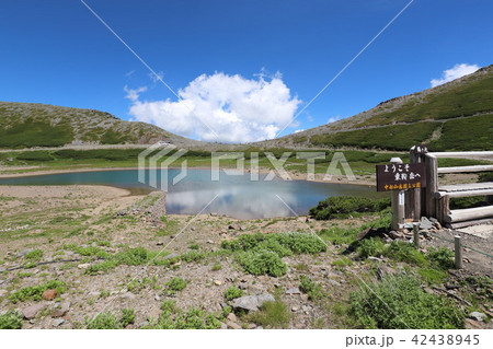 乗鞍岳　畳平の夏 42438945