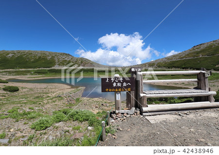 乗鞍岳　畳平の夏 42438946